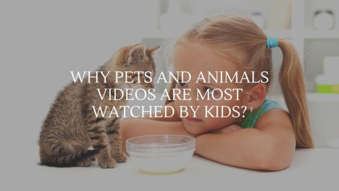 Why Pets And Animals Videos Are Most Watched By Kids