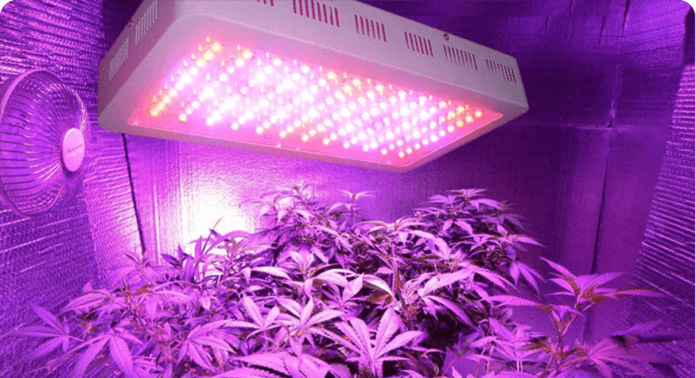 LED Grow Lights