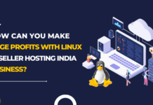 Linux Reseller Hosting India Business