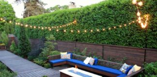 Backyard Privacy How to Keep Your Space Private