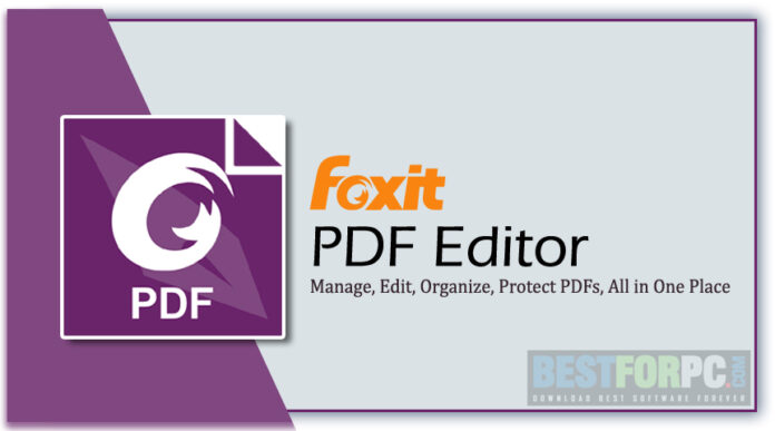 How to Merge PDF Files: Tips and Tricks for Beginners