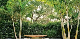 What You Need To Know About Landscaping With Palms: Tips To Help Make Your Garden Posh