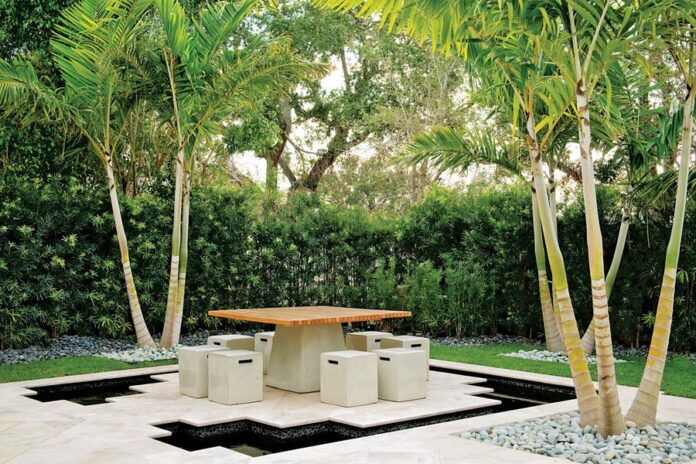 What You Need To Know About Landscaping With Palms: Tips To Help Make Your Garden Posh