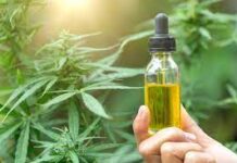Investing in Hemp Products