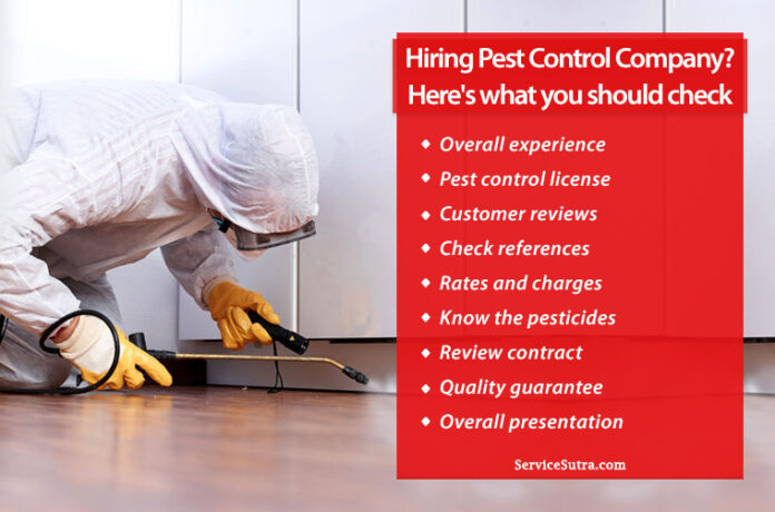 Common Questions to Ask When Hiring Pest Control Services